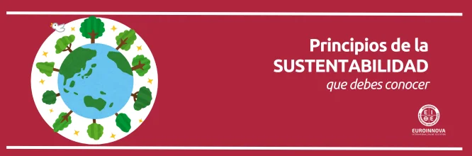 principios de la sustentabilidad