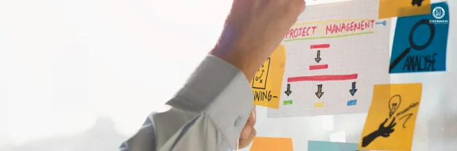 Project manager: the path to success
