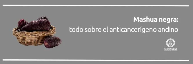 Descubriendo la mashua negra: beneficios para la salud y más