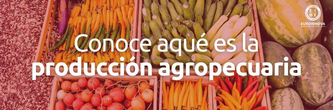 ¿Qué es producción agropecuaria y cuáles son sus actividades?
