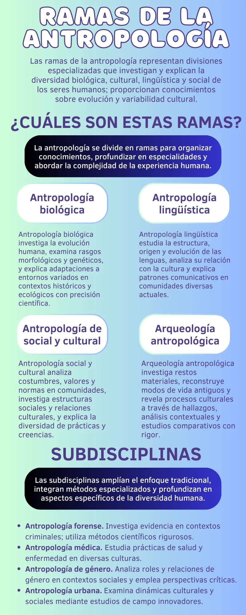 qué estudia la antropología