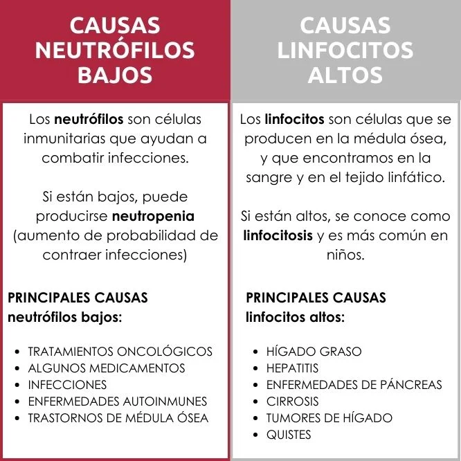 ¿Qué ocurre cuando tenemos los linfocitos altos y neutrófilos bajos?