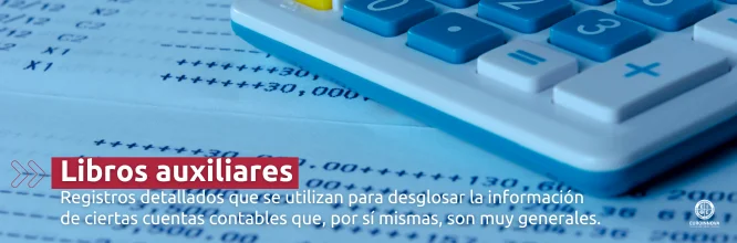 ¿Qué son los libros auxiliares y cuál es su importancia?