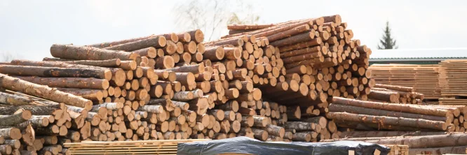 qué son los materiales directos