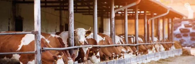 salidas profesionales de la carrera de agricultura y ganadería