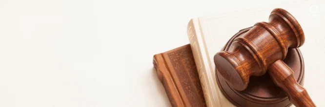 Spanish Law of Sexual Freedom: origin and fundamental points of its latest reform