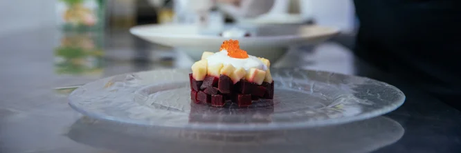 Descubre los mejores temas para tesis de gastronomía