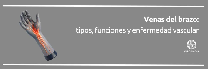 Todo sobre venas del brazo