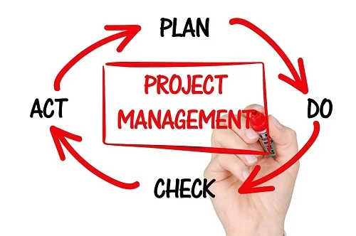 Curso project management