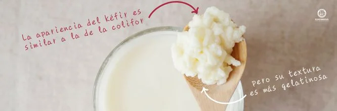 ¿Cómo se crean los búlgaros en la leche?