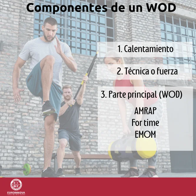 Componentes de un wod