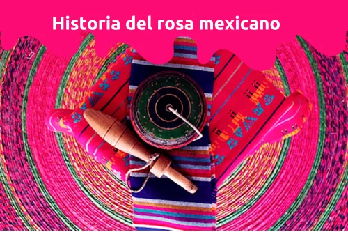 ¿Cuál es la historia del rosa mexicano?