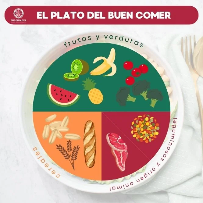 ¿Cómo se distribuye el plato de buen comer para niños?