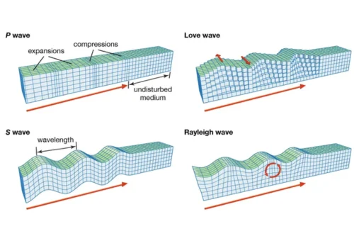 4 Types of seismic waves